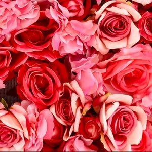 Meet your Posher, Stacee